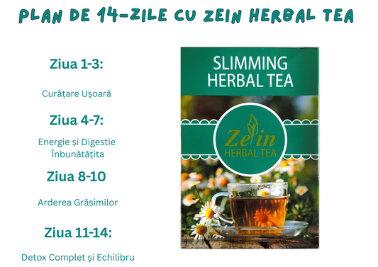 Plan de 14 zile cu Zein Herbal Tea: Ce se întâmplǎ în corpul tǎu?
